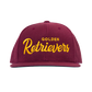 Golden Retrievers Retro Snapback, Embroidered Print