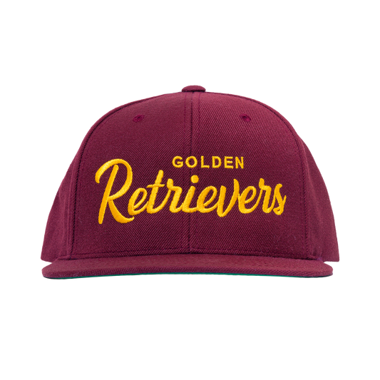 Golden Retrievers Retro Snapback, Embroidered Print