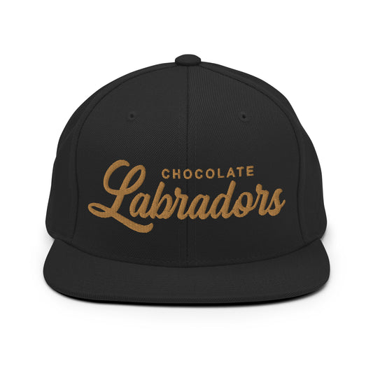 CHOCOLATE Labradors Retro Snapback, Embroidered Print