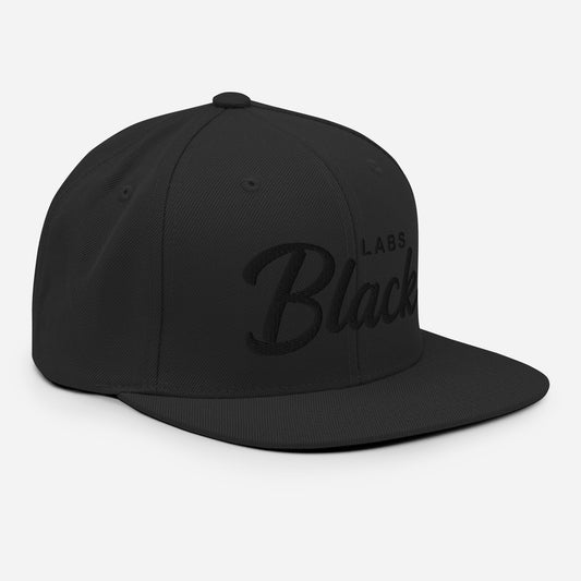 Black LABS (Blackout) Retro Snapback, Embroidered Print