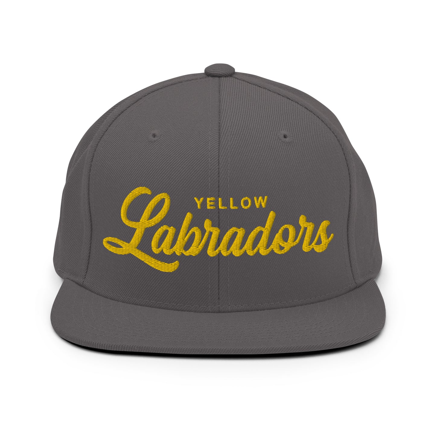 YELLOW Labradors Retro Snapback, Embroidered Print