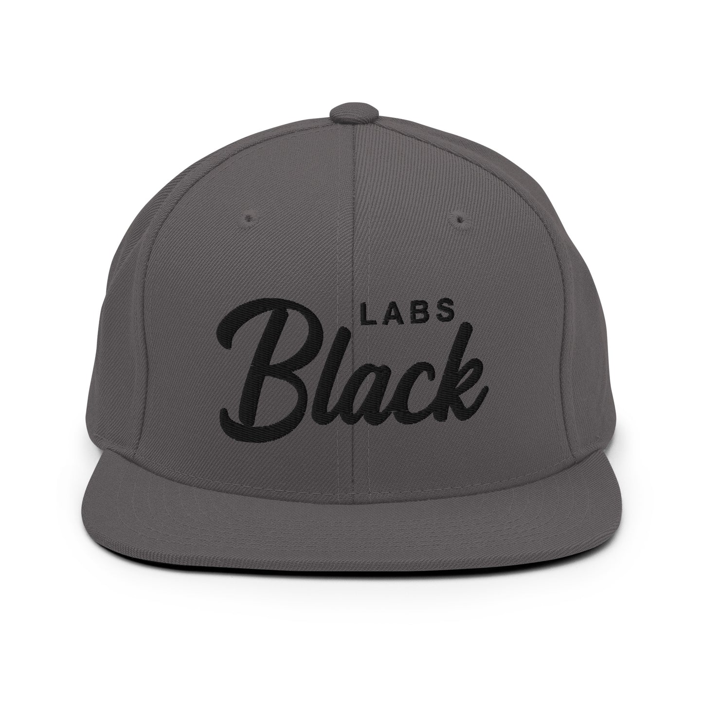 Black LABS Retro Snapback, Embroidered Print