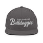 Olde English Bulldogges Retro Snapback, Embroidered Print