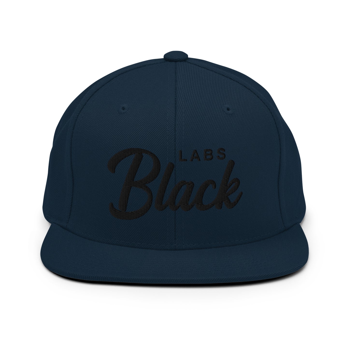 Black LABS Retro Snapback, Embroidered Print