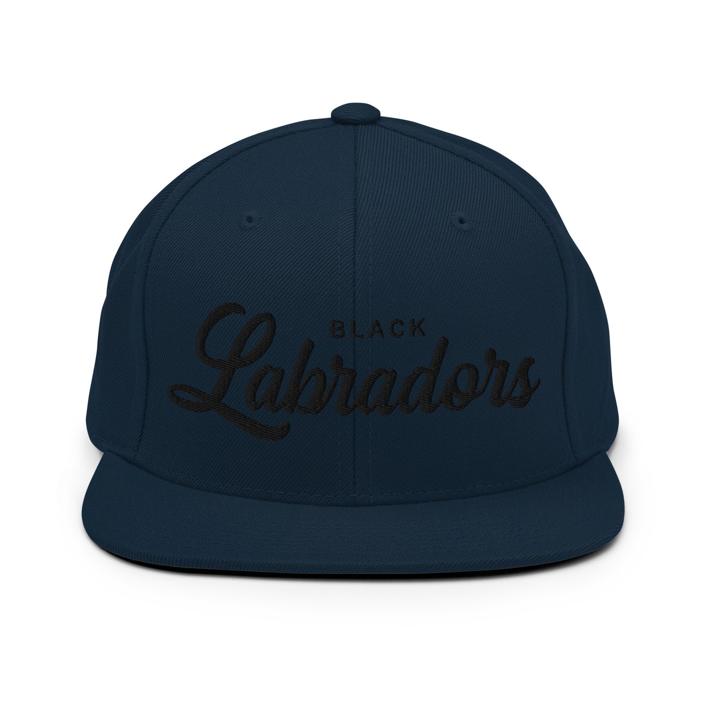 BLACK Labradors Retro Snapback, Embroidered Print