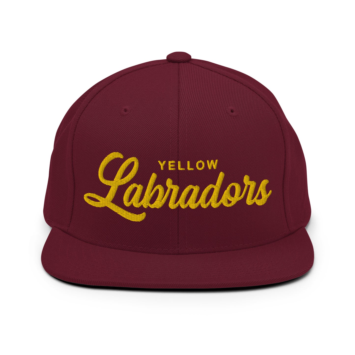 YELLOW Labradors Retro Snapback, Embroidered Print