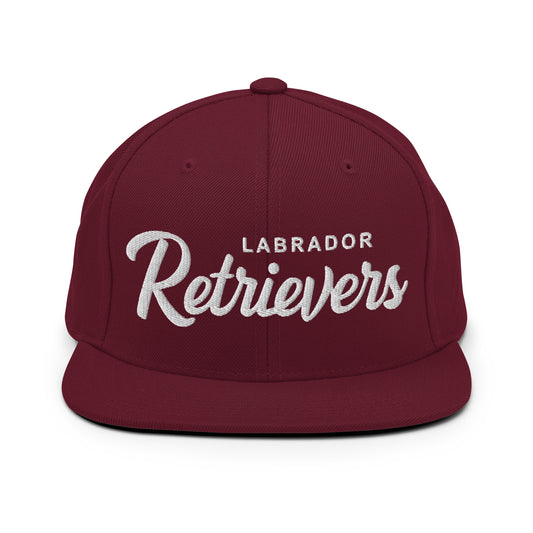 LABRADOR Retrievers Retro Snapback, Embroidered Print