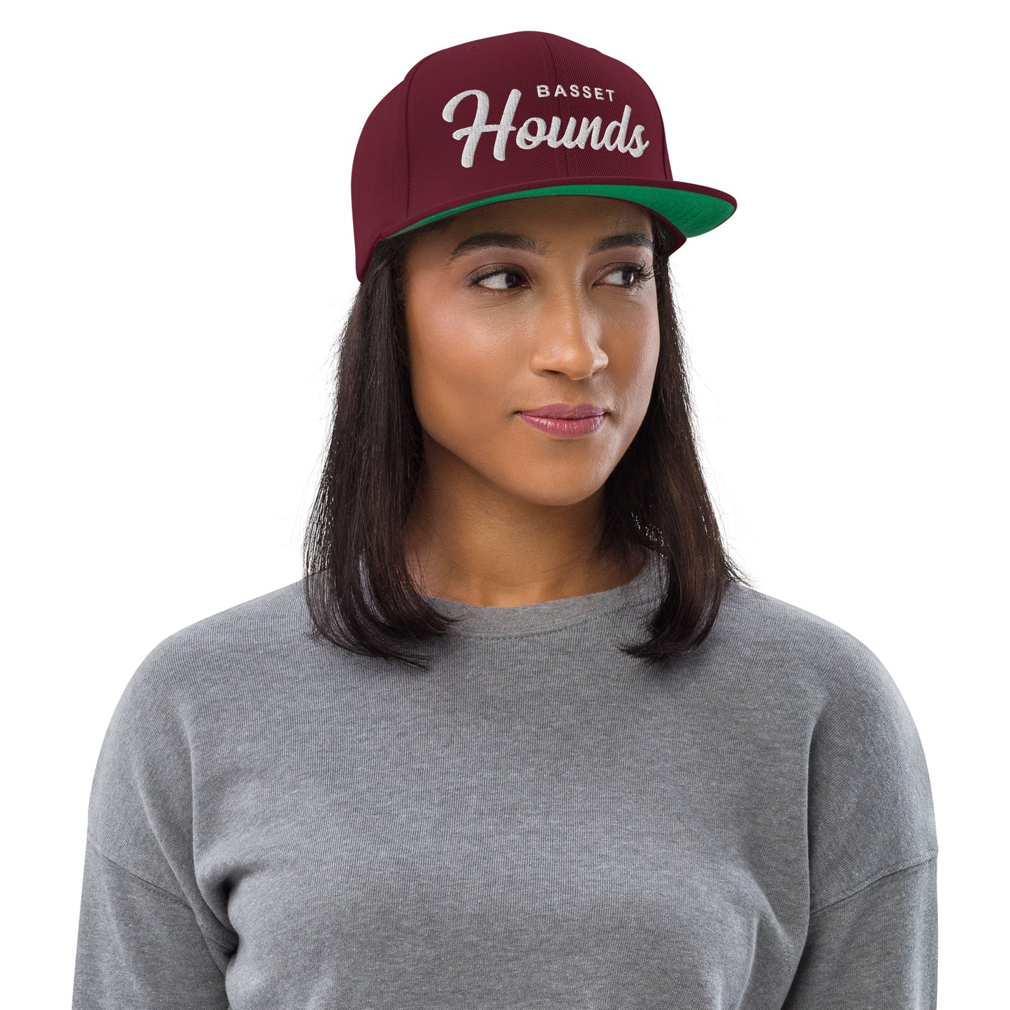 Basset Hounds Retro Snapback, Embroidered Print