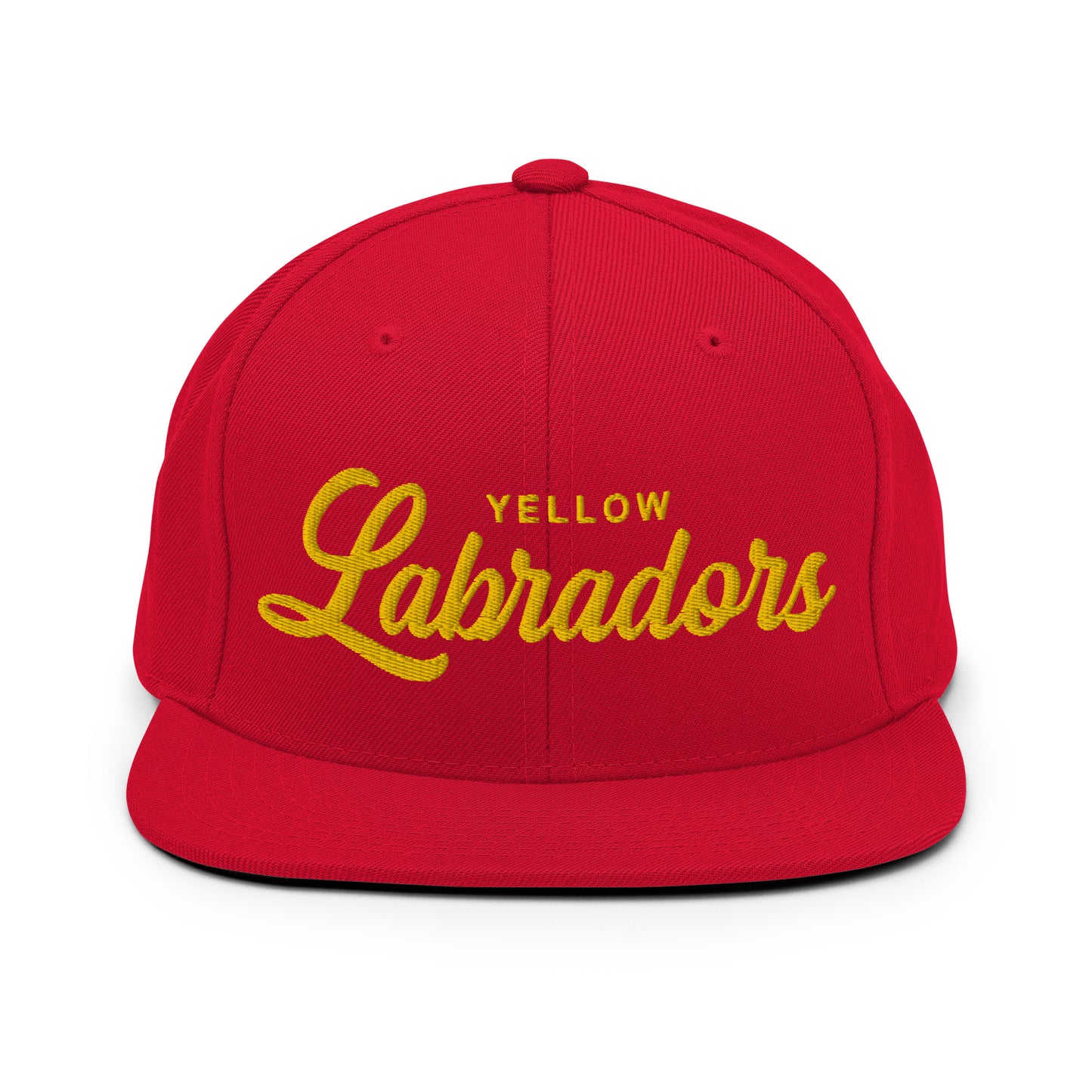 YELLOW Labradors Retro Snapback, Embroidered Print