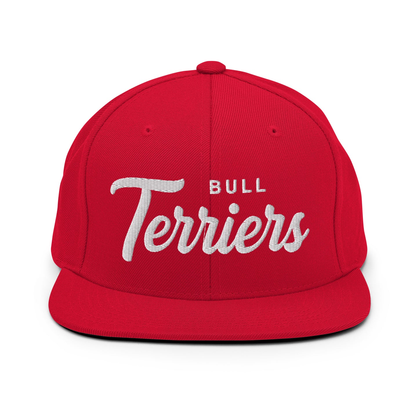 Bull Terriers Retro Snapback, Embroidered Print