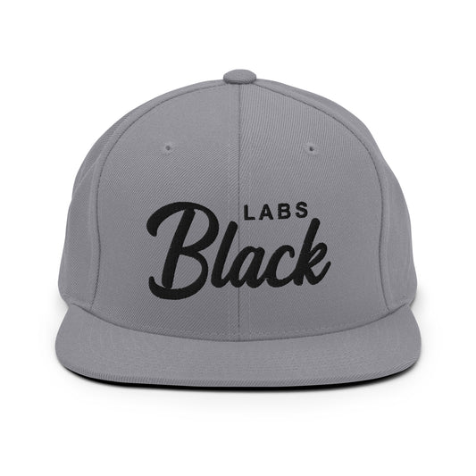 Black LABS Retro Snapback, Embroidered Print