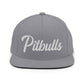 Pitbulls Retro Snapback, Embroidered Print