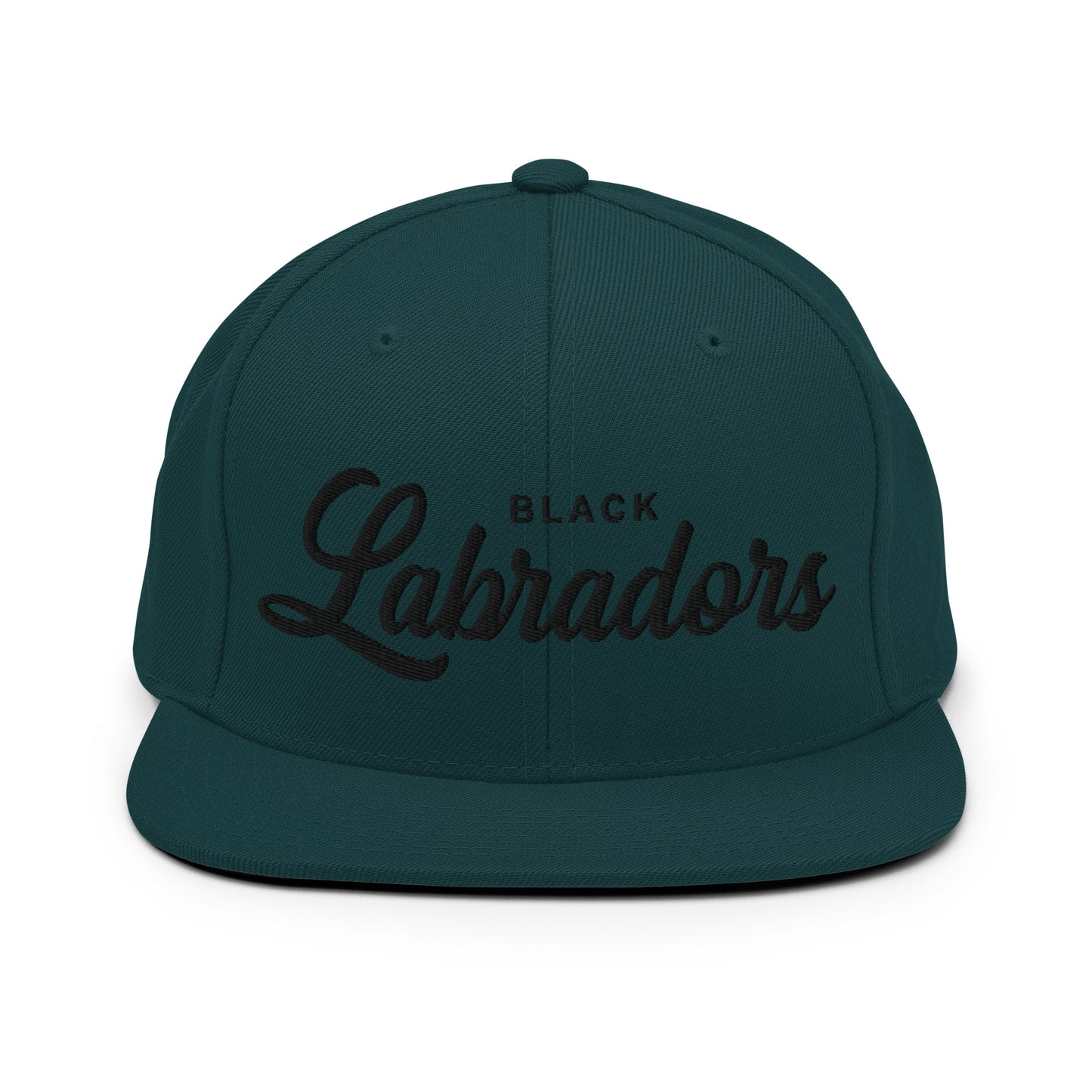 BLACK Labradors Retro Snapback, Embroidered Print