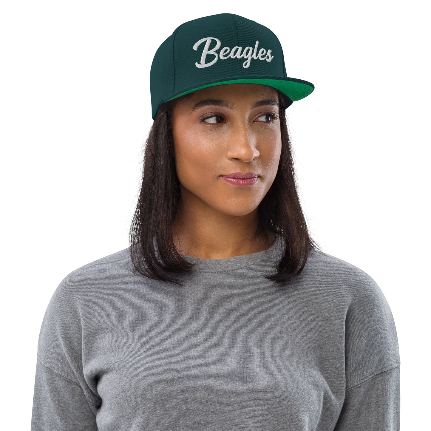 Beagles Retro Snapback, Embroidered Print