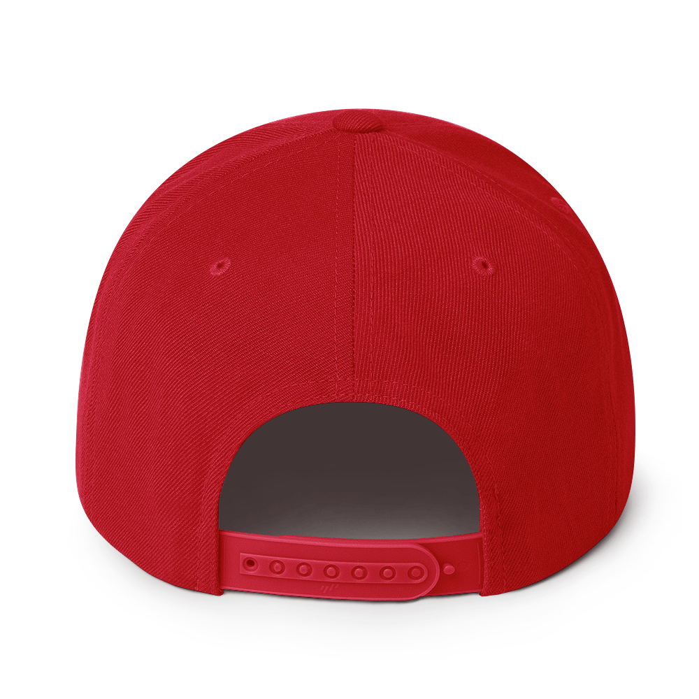 French Bulldogs Retro Snapback, Embroidered Print